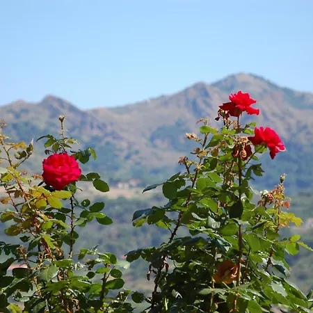 I Fiori Di Salici 3* Capoliveri (Isola d'Elba)