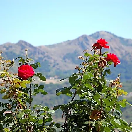 Lägenhetshotell I Fiori Di Salici Capoliveri (Isola d'Elba)