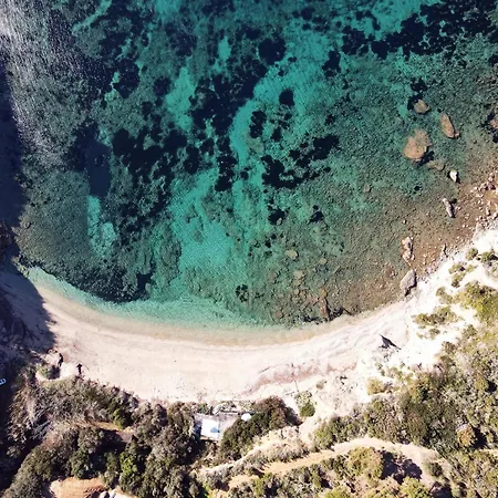 I Fiori Di Salici