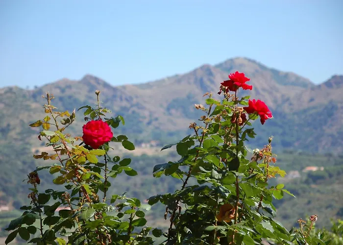 I Fiori Di Salici 3* Capoliveri (Isola d'Elba)